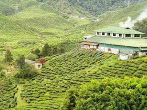 AMAZING KERALA (13 DAYS) J.DATE- 16/10, 12/11, 20/12
